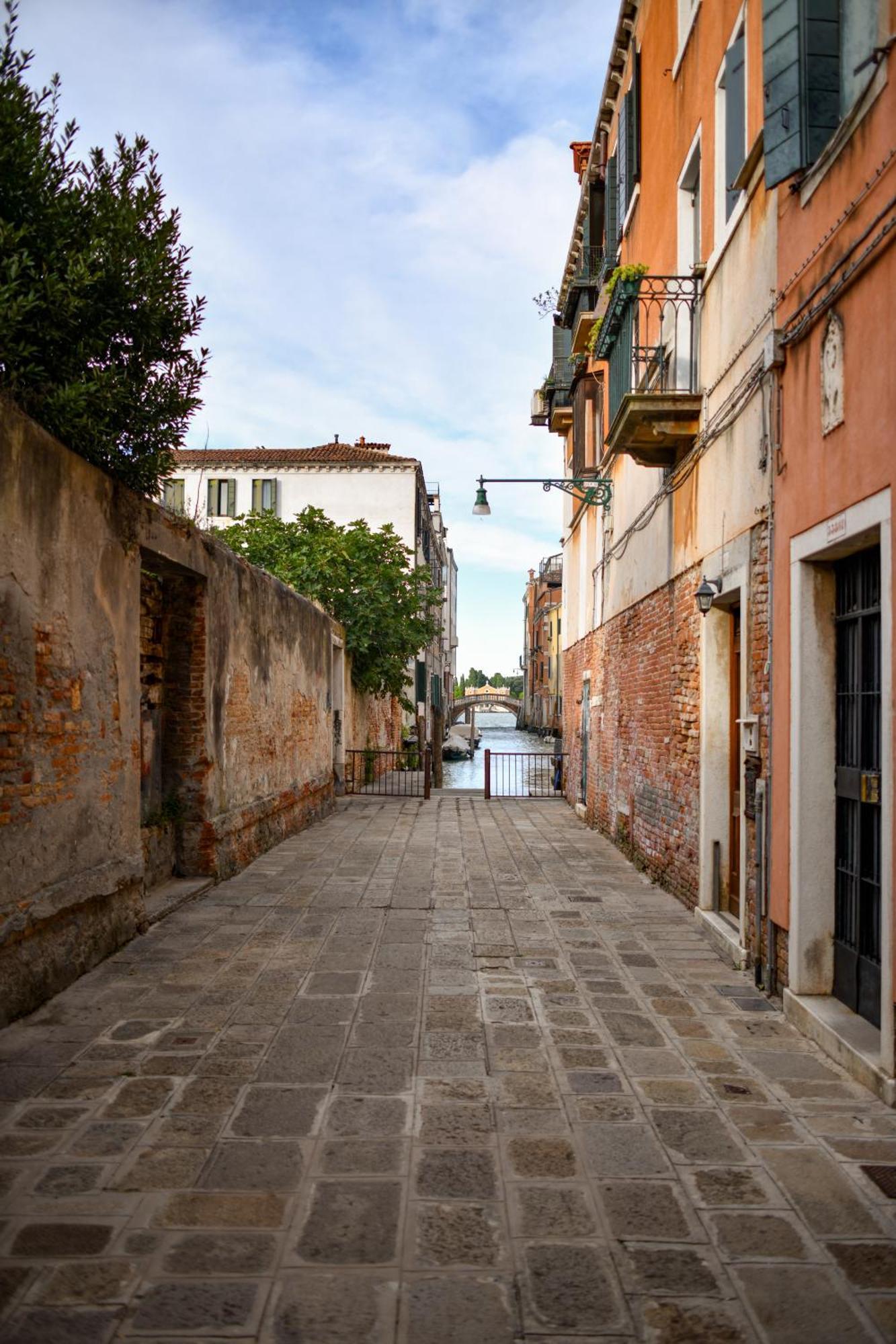Venice Parsley Buitenkant foto